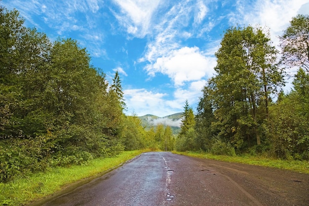 A estrada passa pela floresta densa de pinheiros e estrada de asfalto um caminho pela floresta de montanha em um dia ensolarado de verão a estrada passa por belas paisagens verdes Fundo de viagem