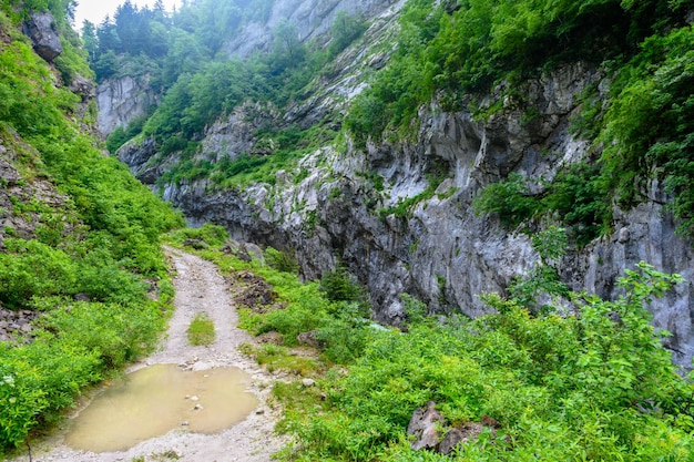 A estrada rochosa do país nas montanhas tropicais as montanhas alpinas e prados