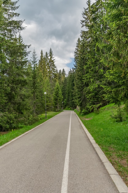 A estrada sinuosa para o lago pitoresco da montanha.