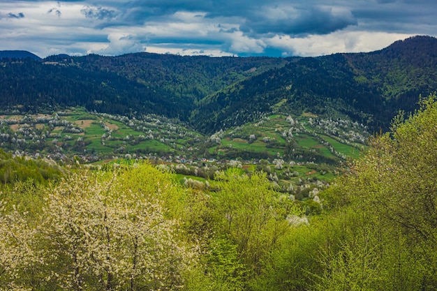 A excelente vista das montanhas na primavera