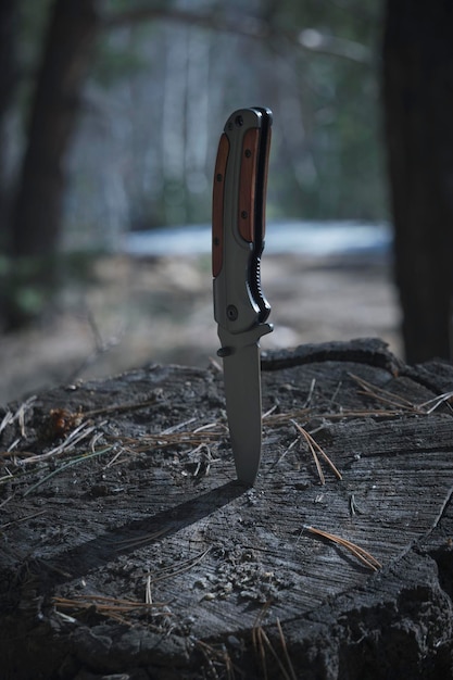 A faca dobrável para a sobrevivência está presa no toco de uma árvore serrada contra a floresta de pinheiros de fundo