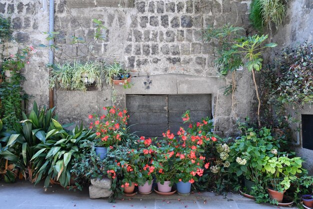 Foto a fachada de uma casa antiga no distrito medieval de vitorchiano, uma aldeia na região do lácio, na itália