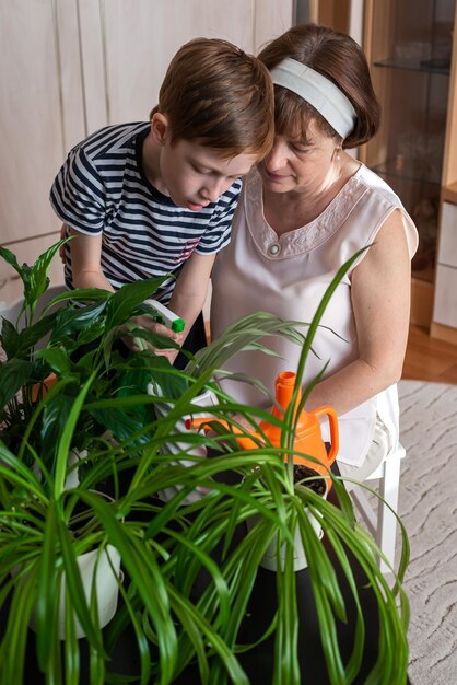 A família está envolvida em jardinagem em casa O conceito de cuidados de primavera para plantas e flores em casa Avó e seu pequeno neto ruivo menino de 67 anos regando flores juntos