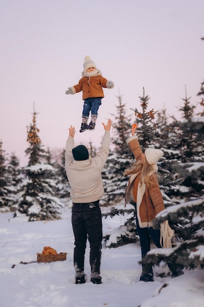 a família se diverte no inverno no parque com pinheiros