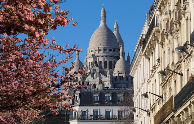 A famosa basílica Sacre Coeur e a árvore de cerejeira em primeiro plano Paris França