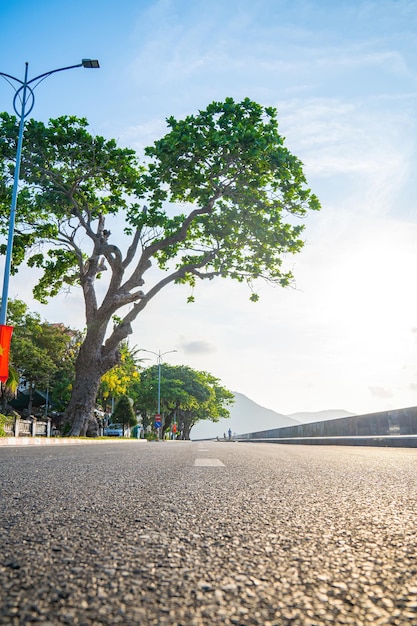 Foto a famosa estrada que leva ao longo das montanhas costeiras na ilha de con dao, vietnã a ilha de con dao é um dos destinos famosos no sul do vietnã