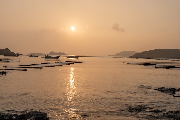 Foto a fazenda de flores do mar ao nascer do sol é dourada