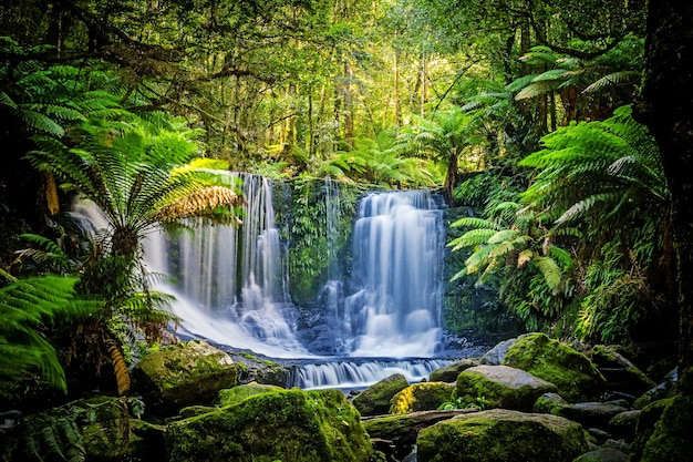 Foto a, ferradura, quedas, em, a, mt, campo, parque nacional, tasmânia, austrália