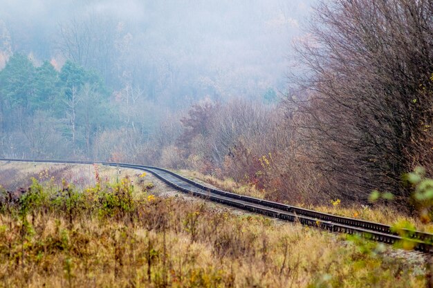 A ferrovia atravessa a floresta. Manhã nublada na floresta de outono perto da ferrovia