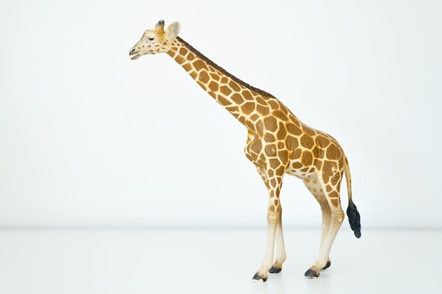 A figura de uma girafa em fundo branco