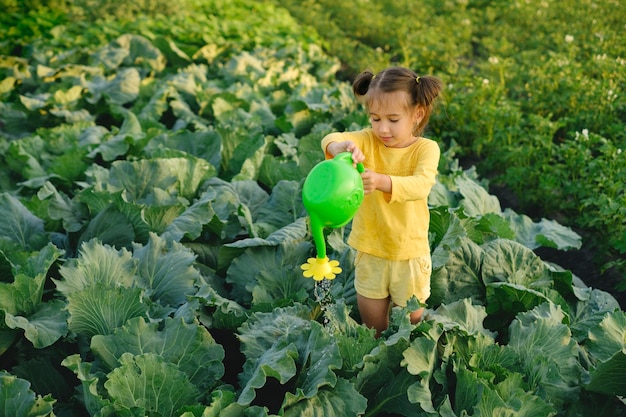 A filha ajuda na plantação a regar as plantas agrícolas durante o período seco