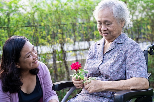 A filha cuidadora abraça e ajuda uma senhora idosa asiática ou idosa segurando rosa vermelha em cadeira de rodas no parque