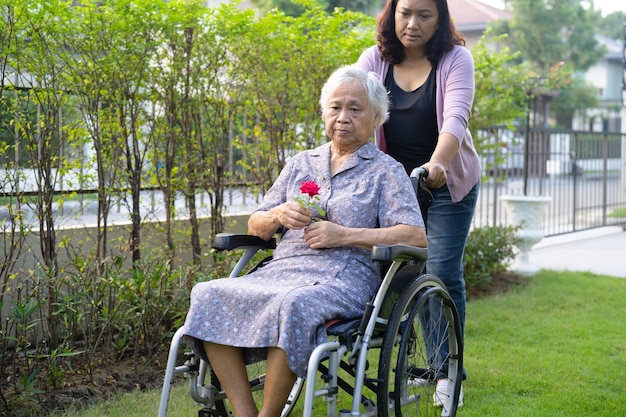 A filha cuidadora abraça e ajuda uma senhora idosa asiática ou idosa segurando rosa vermelha em cadeira de rodas no parque