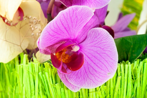 A flor de uma orquídea rosa em um grande buquê com uma cesta verde