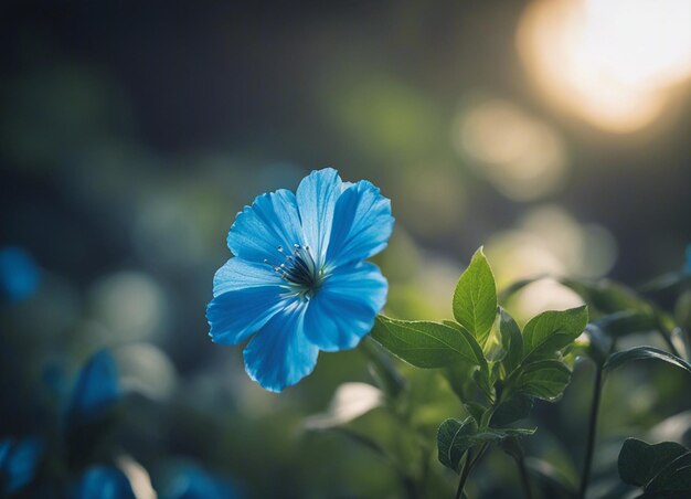 A Flores na natureza perto de beleza pétalas papel de parede