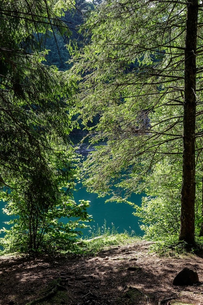 A floresta ao redor do lago Pra da Stua na província de Trento