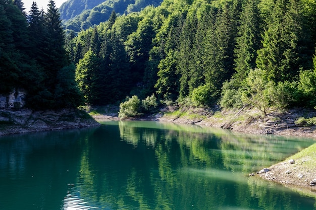 A floresta ao redor do lago pra da stua na província de trento