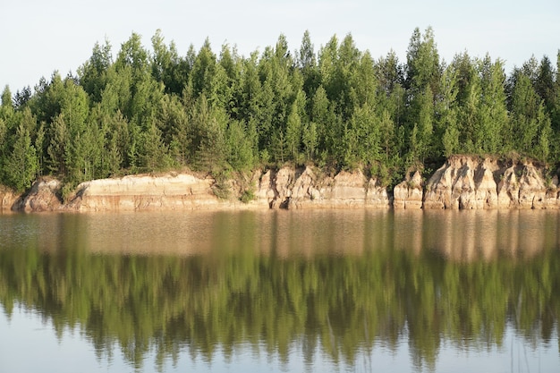 Foto a floresta de coníferas é refletida na superfície da água