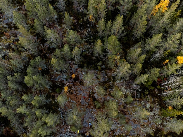 A floresta de outono no topo da colina de cima A vista do Parque Ruskeala do drone