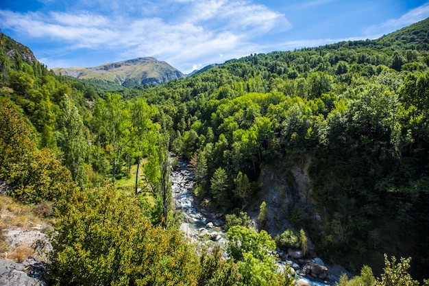 A floresta panticosa nos pirenéus