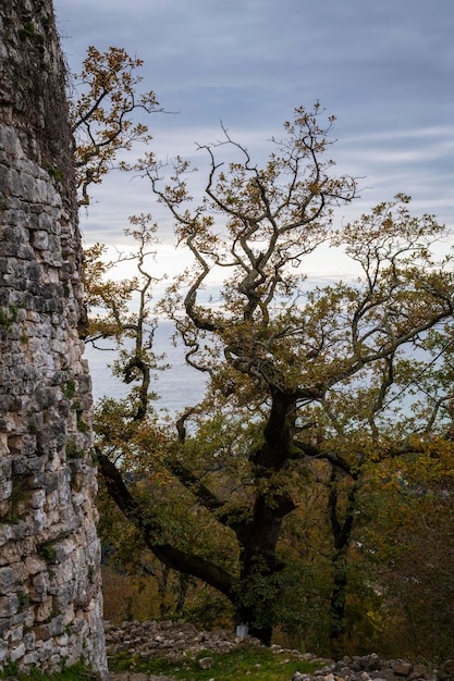 A Fortaleza Anakopia é uma estrutura defensiva um marco histórico na cidade de Novo Athos