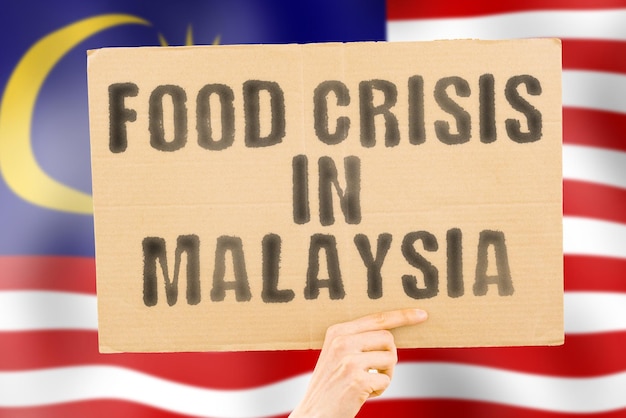A frase Crise alimentar na Malásia está em um banner nas mãos dos homens com uma bandeira da Malásia borrada ao fundo Crise Finanças Vida Nutrição Pão Desastre Desastre Questão social