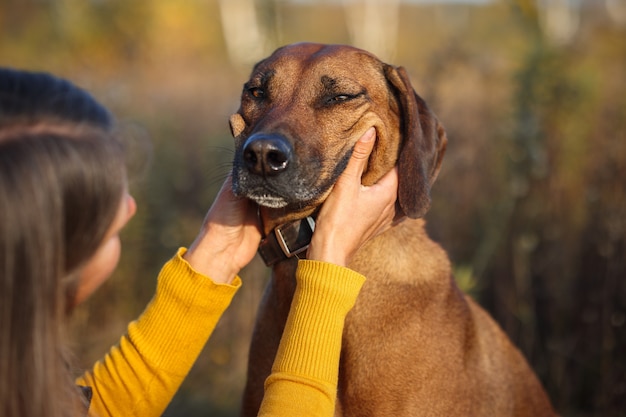 A garota faz um sorriso no rosto do cachorro com as mãos. Vista traseira