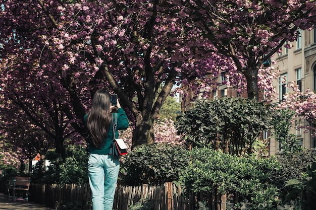 A garota grava um vídeo no telefone florescendo cerejeiras