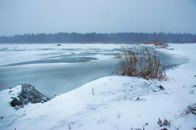 Foto a grama cresce na costa de uma baía completamente coberta de gelo e neve.