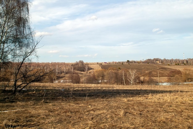 Foto a grama do ano passado em um campo no início da primavera