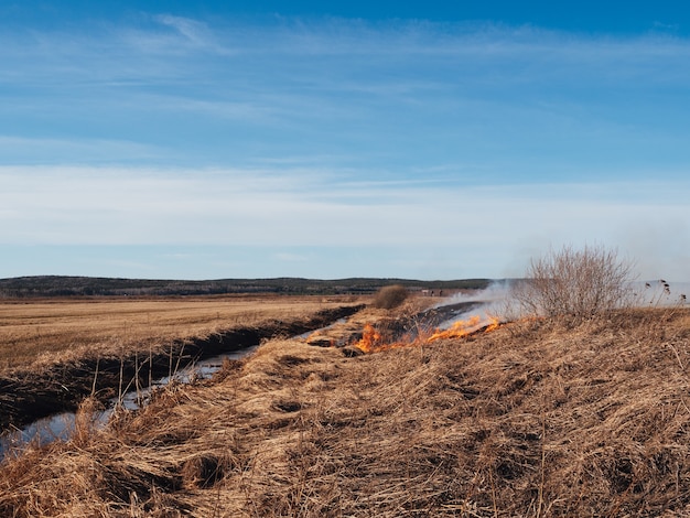 A grama seca queima no campo em clima quente. Incêndios florestais perigosos, desastre. Fosso com água, prevenção de incêndios, equipamento de segurança contra incêndios.