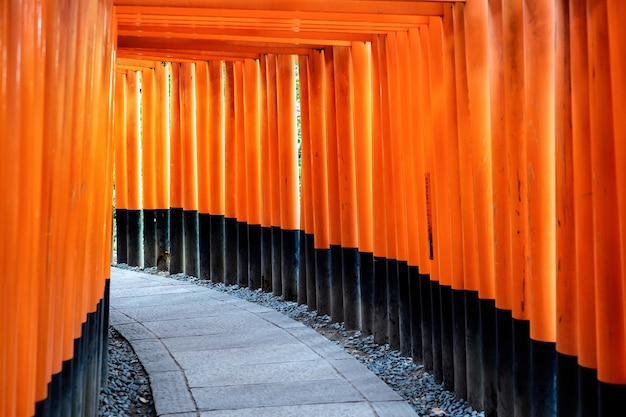 A herança cultural mundial em Kyoto