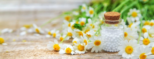 A homeopatia pílulas de camomila em uma pequena garrafa. Foco seletivo. Natureza.