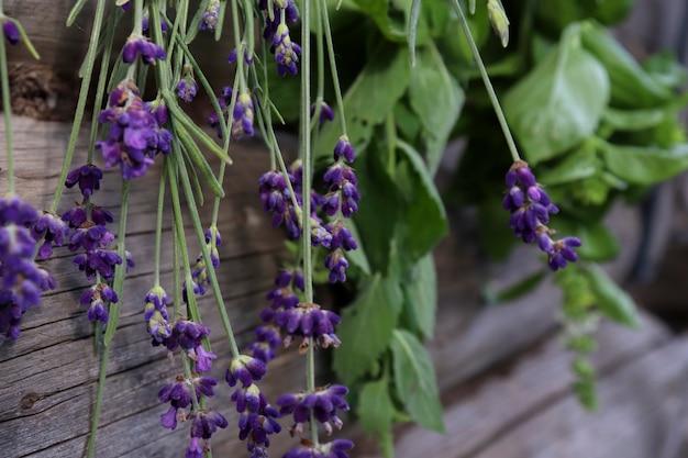 A hortelã fresca, o manjericão e a alfazema são secos em cachos, suspensos, ao ar livre, sobre um fundo de madeira. o conceito de ervas aromáticas para a saúde.