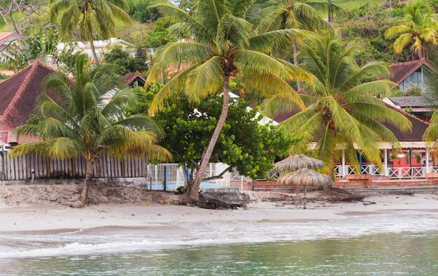 A ilha caribenha da Martinica da praia