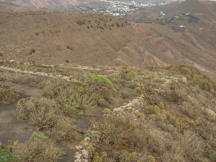 Foto a ilha de lanzarote