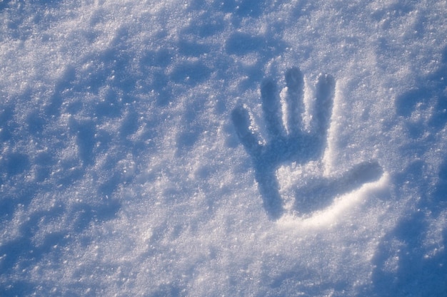 A impressão da palma na neve