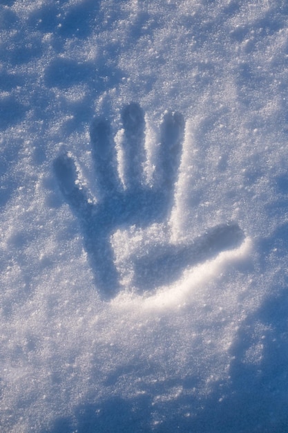 A impressão da palma na neve