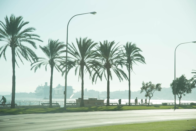 A incrível beleza de Maiorca