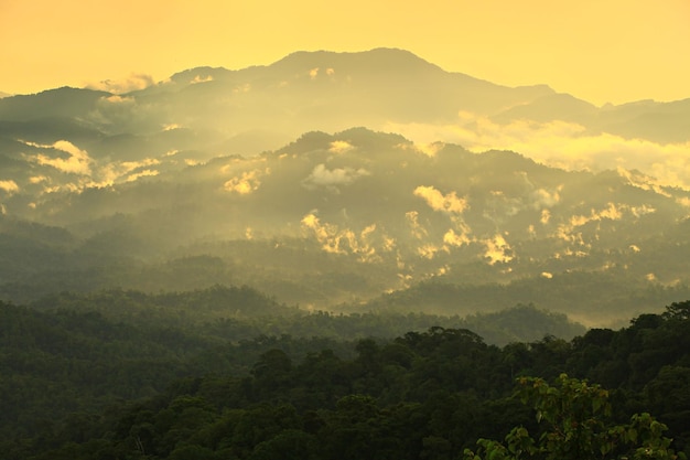 A integridade cênica das florestas kaeng krachan no parque nacional kaeng krachan phetchaburi thailan