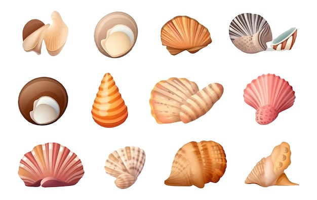 A interface do usuário define a ilustração vetorial de conchas coloridas diferentes do fundo do oceano isoladas em