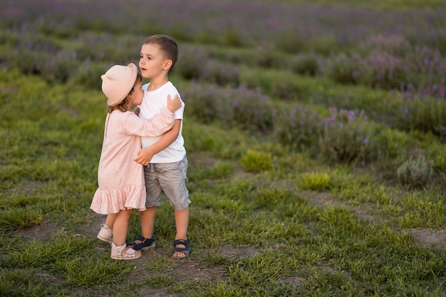 A irmã e o irmão estão andando em um campo de lavanda Crianças bonitas andam e abraçam na natureza