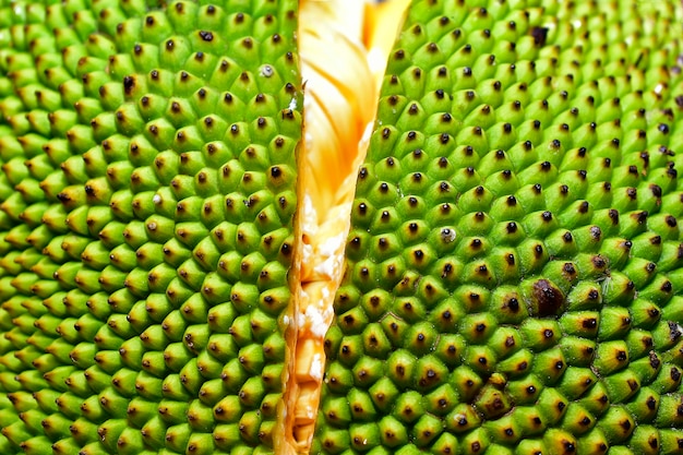 Foto a jaca é uma fruta deliciosa e doce.