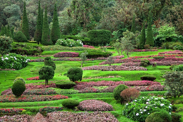 A jardinagem vertical.