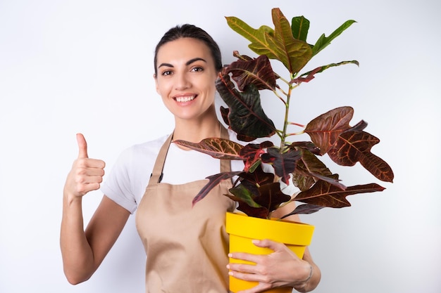 Foto a jovem dona de casa em um avental em um fundo branco segura uma planta de casa em um pote sorri positivamente mostra os polegares para cima