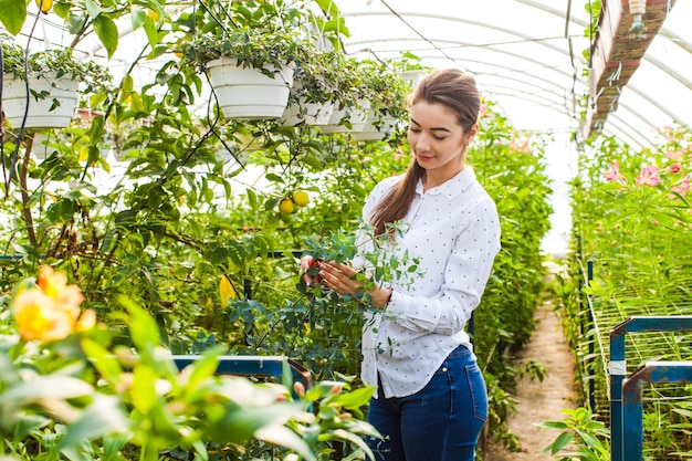 A linda florista com uma tesoura corta a planta na estufa