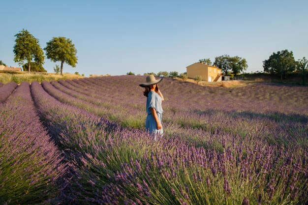 A linda jovem de vestido azul e boné atravessa o campo de um hai longo encaracolado de lavanda