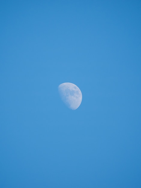 A lua da tarde. Em um céu azul.