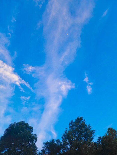 Foto a lua no céu é um pouco azul