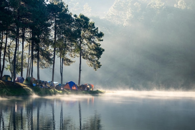 A luz do sol da floresta de pinheiros do ponto de vista brilha no reservatório de neblina pela manhã em pang oung